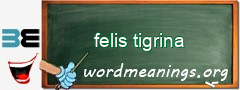 WordMeaning blackboard for felis tigrina